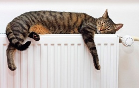 Что выбрать - теплоноситель на основе глицерина, пропиленгликоля или этиленгликоля?